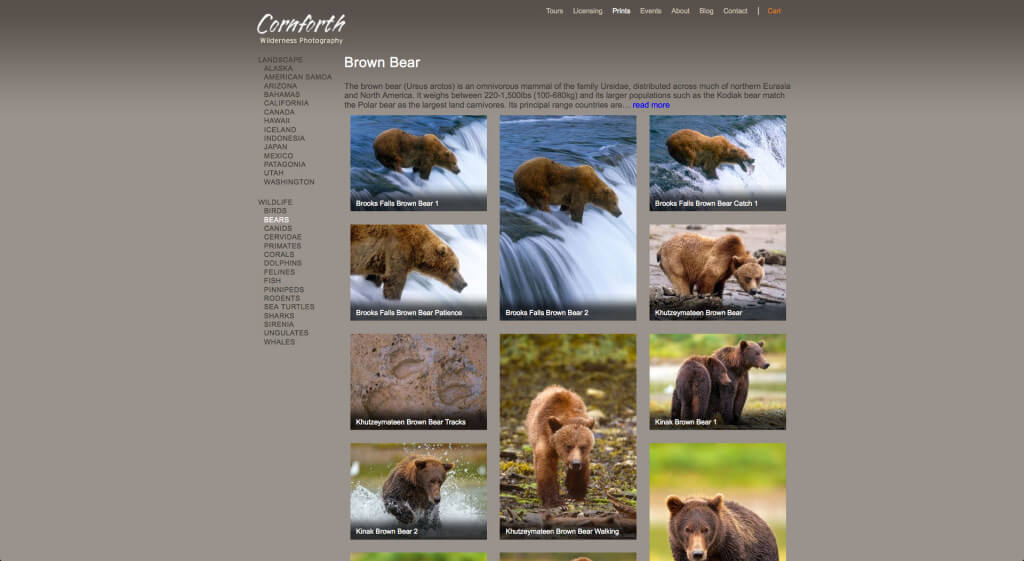 Cornforth Images Category Layout