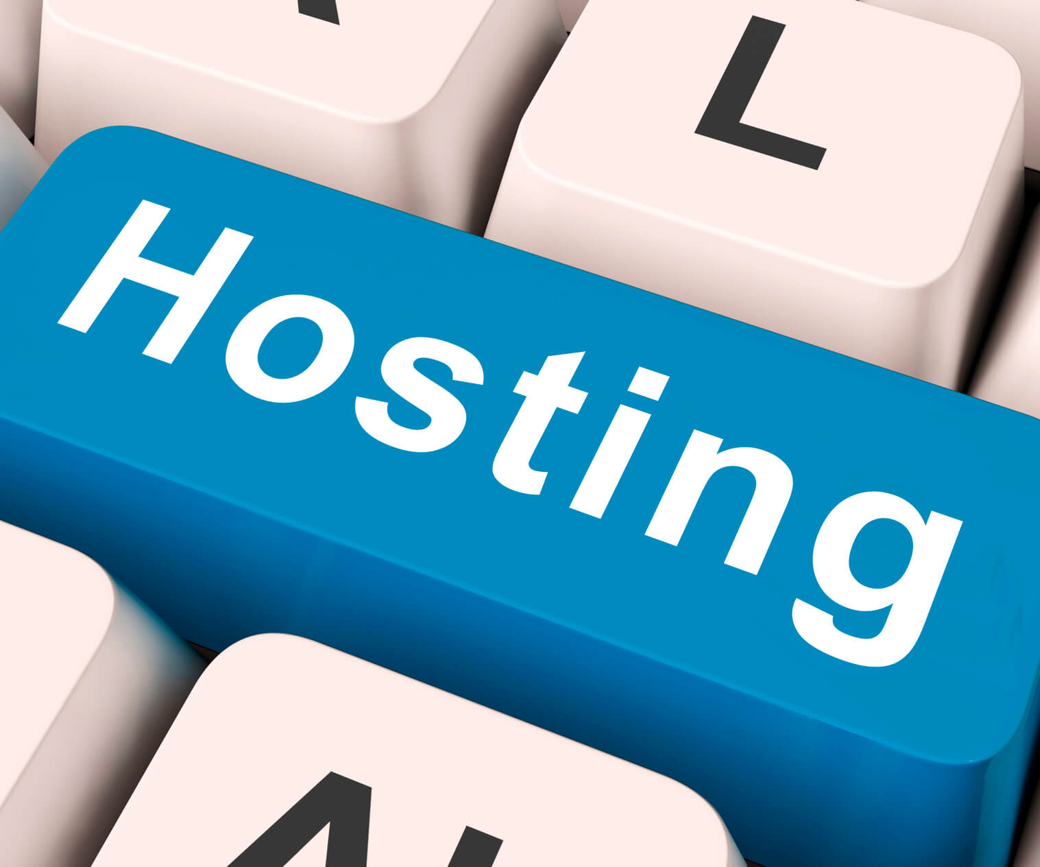 Why Your Web Host Matters for WordPress - Kool Kat Web Designs